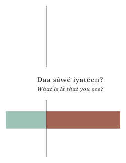 Daa s&aacute;w&eacute; iyat&eacute;en? - Troubled Raven N&eacute;ili