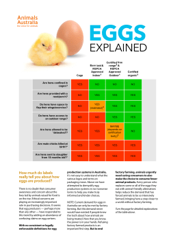 egg labelling cheat sheet