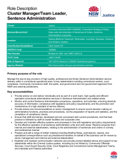 Role Description Cluster Manager/Team Leader, Sentence