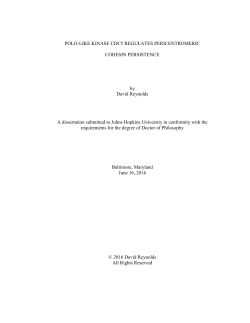 REYNOLDS-DISSERTATION-2016 - JScholarship