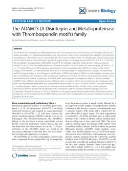 A Disintegrin and Metalloproteinase with