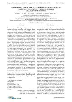 induction of mesenchymal stem cell differentiation
