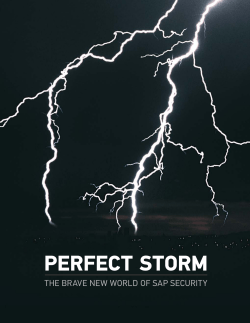 Perfect Storm: The Brave New World of SAP Security