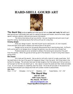 hard-shell gourd art