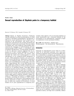 Sexual reproduction of Daphnia pulex in a temporary