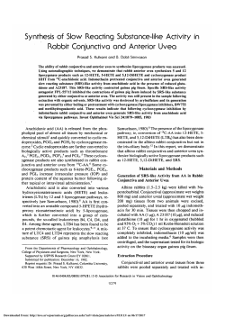 Synthesis of slow reacting substance-like activity in rabbit