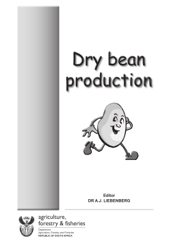 Dry bean production