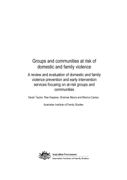 Groups and communities at risk of domestic and