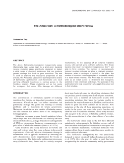The Ames test: a methodological short review