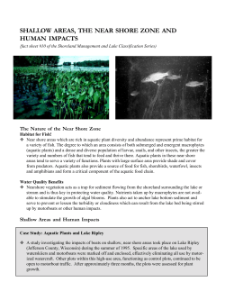 Shallow Areas, The Near Shore Zone and Human Impacts