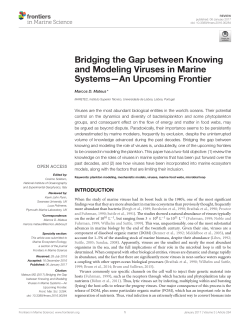 Bridging the Gap between Knowing and Modeling Viruses in Marine