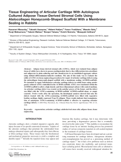 Tissue engineering of articular cartilage with autologous cultured