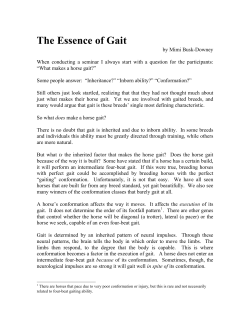 The Essence of Gait