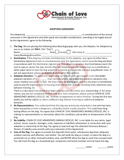 ADOPTION AGREEMENT The Adopter(s), in