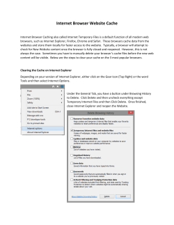 Internet Browser Website Cache