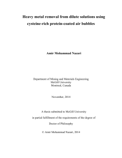 Heavy metal removal from dilute solutions using