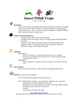 Insect Pitfall Traps