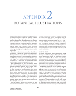 APPENDIX 2