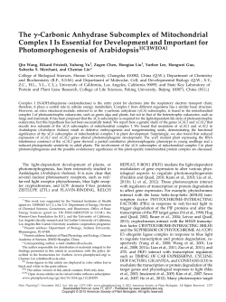 The g-Carbonic Anhydrase Subcomplex of Mitochondrial Complex I