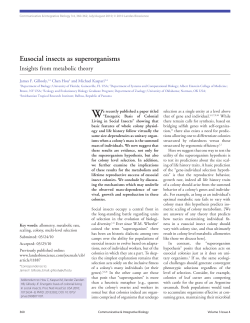 Eusocial insects as superorganisms - People