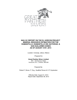 ni43-101 report on the el horcon project mineral resource estimation