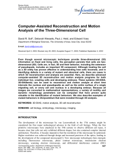 Computer-Assisted Reconstruction and Motion Analysis of
