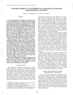 a revised tropical to subtropical paleogene planktonic foraminiferal