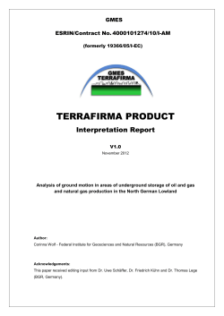 Terrafirma Report - BGR