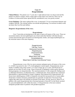 CZ Current Issues 2012 Part 2