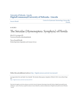 The Siricidae (Hymenoptera: Symphyta) of Florida
