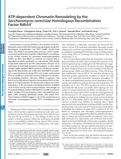 ATP-dependent Chromatin Remodeling by the