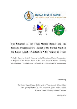 The Situation at the Texas-Mexico Border and the Racially