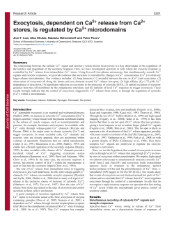 Exocytosis, dependent on Ca release from Ca stores, is regulated by