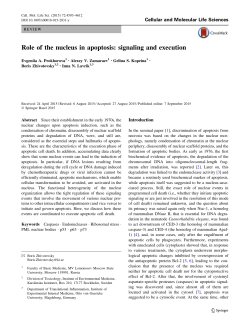 Role of the nucleus in apoptosis: signaling and execution