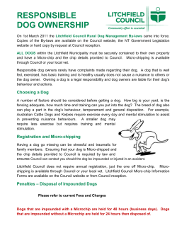 responsible dog ownership