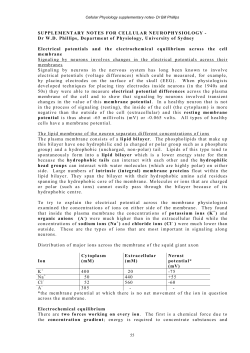 SUPPLEMENTARY NOTES FOR CELLULAR NEUROPHYSIOLOGY