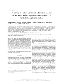 E-print - Blair Hedges