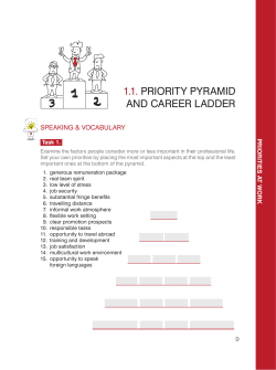1.1. priority pyramid and career ladder