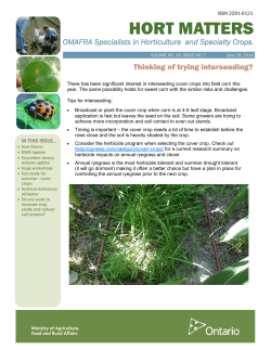 Read More - Ontario Processing Vegetable Growers