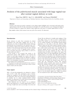 Avulsion of the pubovisceral muscle associated with large vaginal