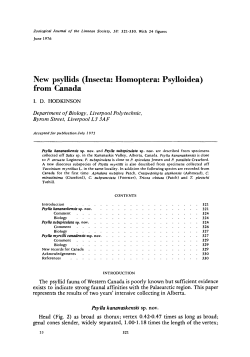 New psyllids (Insecta: Homoptera: Psylloidea) from Canada
