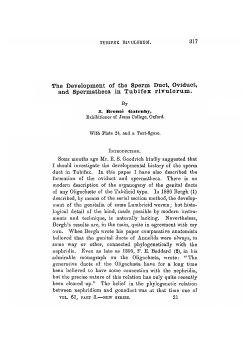 The Development of the Sperm Duct, Oviduct, and Spermatheca in