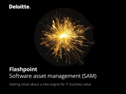 Software asset management (SAM)