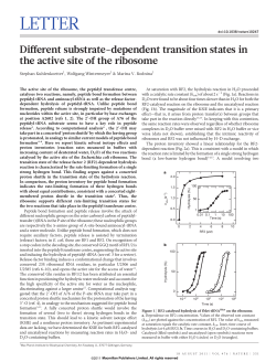 Different substrate-dependent transition states in the active site of