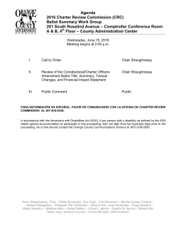 2016-06-15 Ballot Summary Work Group Meeting Agenda Packet
