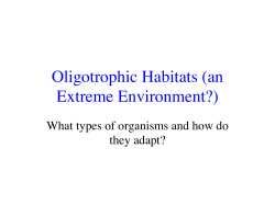 Oligotrophic Habitats (an Extreme Environment?)