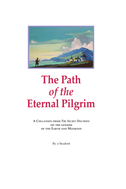 The Path of the Eternal Pilgrim