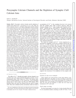 Presynaptic Calcium Channels and the Depletion of Synaptic Cleft