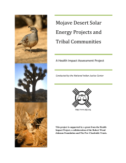 Mojave Desert Solar Energy Projects and Tribal Communities