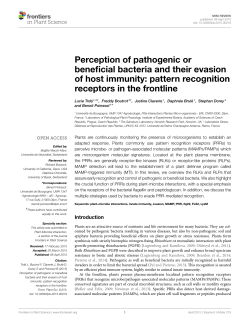 Perception of pathogenic or beneficial bacteria and their evasion of